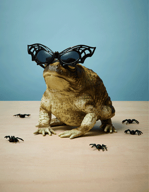 Toad wearing sunglasses gif still life art direction for ASOS halloween shoot